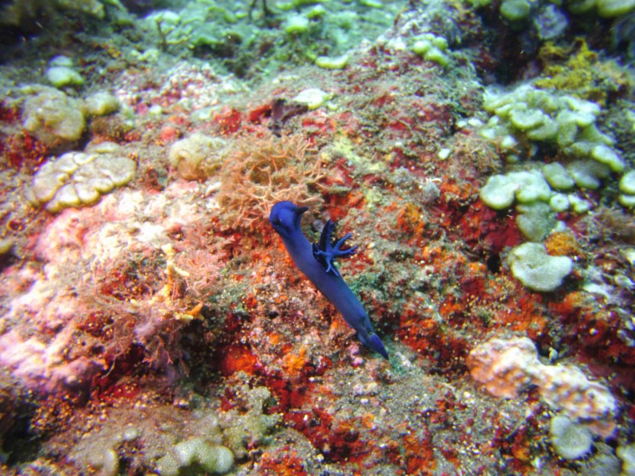 Готель Alam Mimpi Bali Теякула Екстер'єр фото