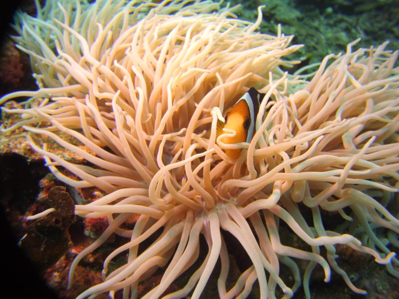 Готель Alam Mimpi Bali Теякула Екстер'єр фото